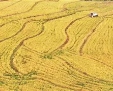 必威体育app-里尔豪取三分战胜亚眠,稳步前进